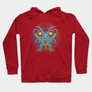 Cosmic owl Hoodie